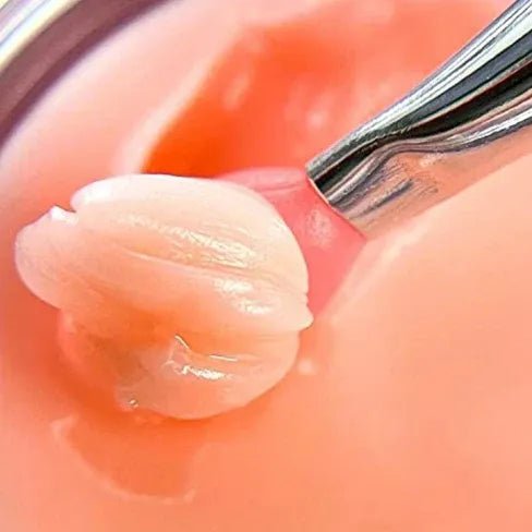 Laneige - Lip Sleeping Mask EX (Grape Fruit) - Skin Shine