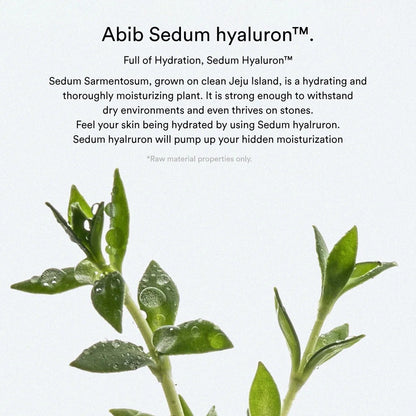 Abib - Sedum Hyaluron Pad Hydrating Touch - Skin Shine